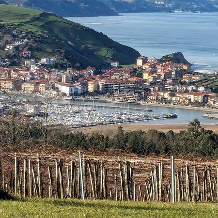 Zumaia Basque Alai Appartement Buitenkant foto
