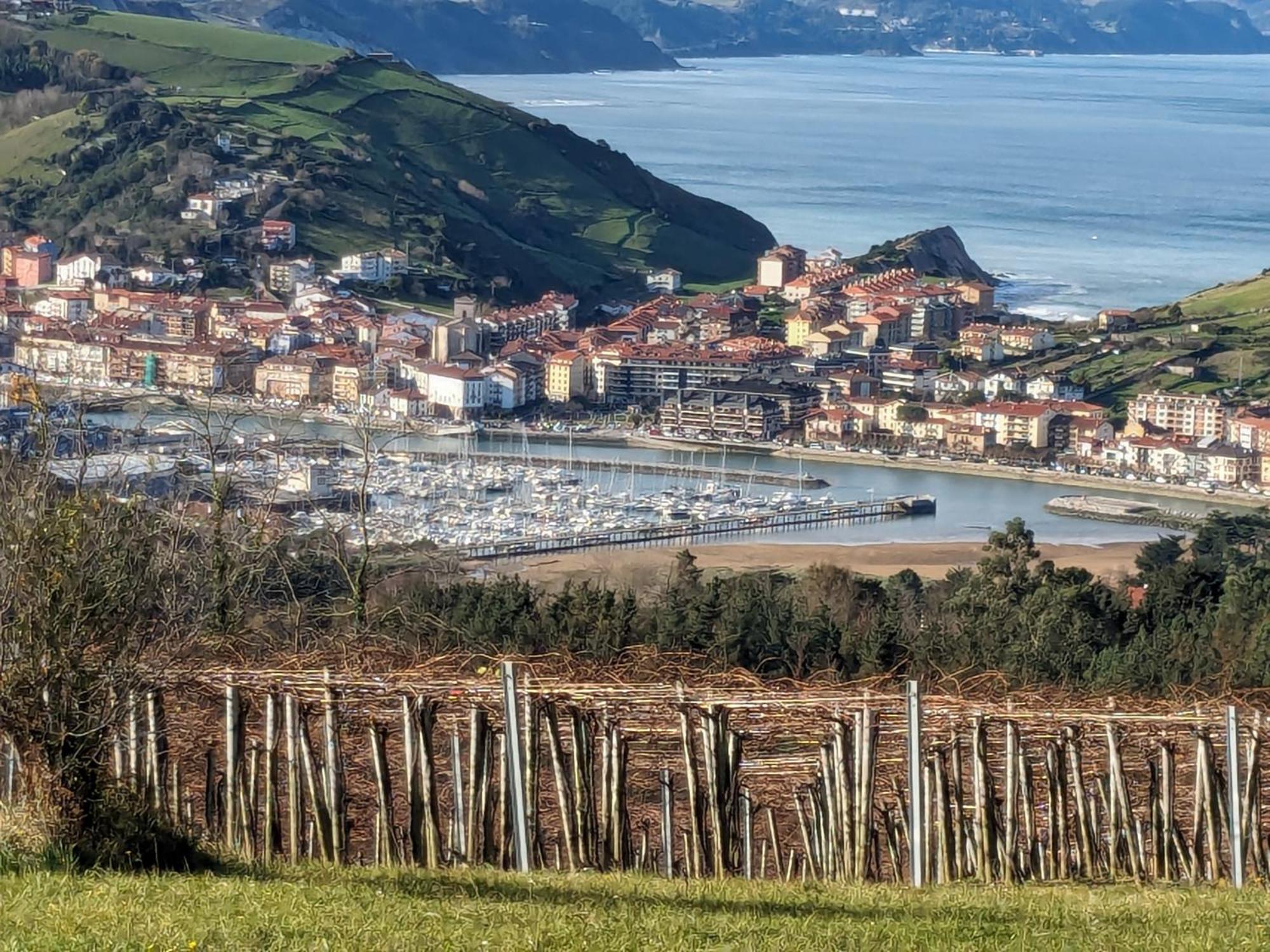 Zumaia Basque Alai Appartement Buitenkant foto